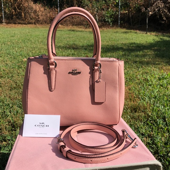 mini surrey carryall coach